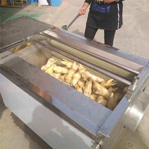 核桃清洗机毛刷辊 使用寿命长